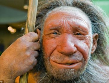Новые исследования ученых: что досталось нам в наследство от неандертальцев?