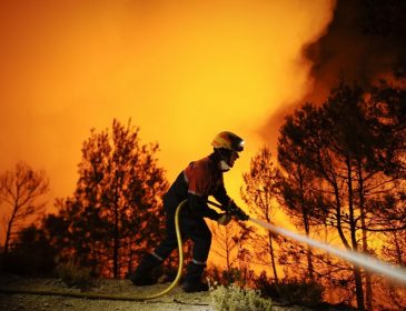 В Испании и Португалии разбушевалась огненная стихия, погибли три десятка людей