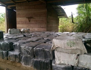 Рекордных 12 тонн кокаина изъяли в Колумбии