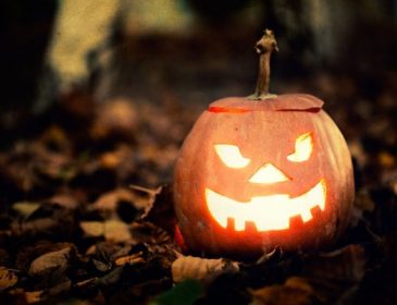 Наркотики вместо сладостей: на празднике Хэллоуин ребенку дали необычную откуп