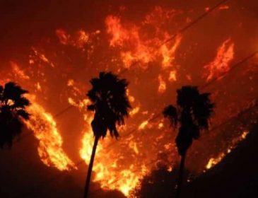 Страшный пожар в Калифорнии продолжает распространяться. Появились первые кадры