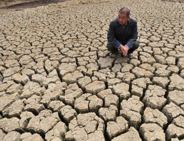 Последствия засухи будут просто ужасными. Человечеству советуют запастись водой