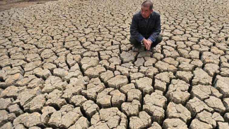 Последствия засухи будут просто ужасными. Человечеству советуют запастись водой