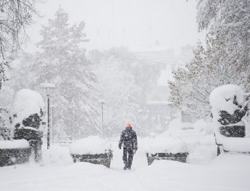 «Наблюдается сильный ветер и снег»: из-за погоды в столице закрыли все школы