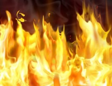 Вспыхнул лесной пожар: погибли девять человек