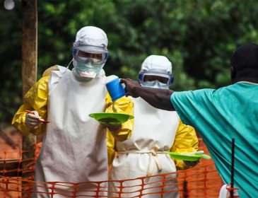 Смертельная лихорадка Эбола снова вернулась: погибло уже 17 человек