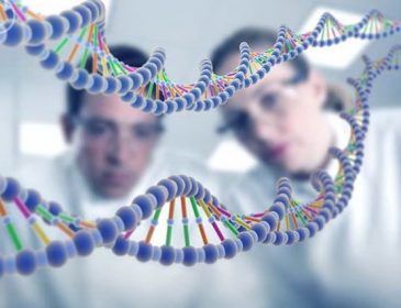 Ученые нашли ген, отвечающий за психические заболевания