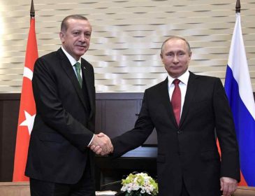 На встрече Путина и Эрдогана произошел казус