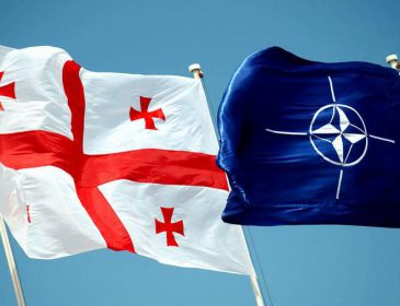 Грузия ответила на острое заявление со стороны российских властей по поводу вступления в НАТО