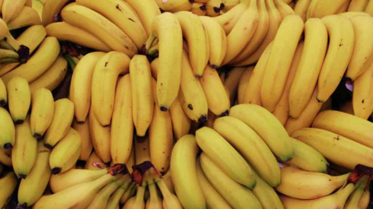 «Мы то, что мы едим»: в польских магазинах среди бананов нашли 170 кг  кокаина