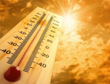 Рекордная жара в Австралии привела к нехватке кислорода, есть жертвы