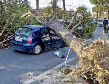 Сносит все на своем пути: на Италию обрушился мощный ураган, есть жертвы